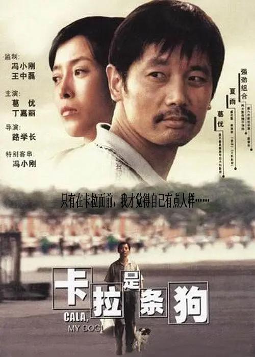 中文字幕区